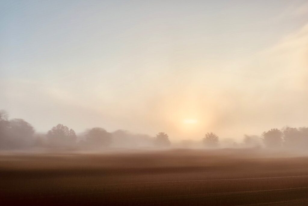 Foggy sunrise on a Central, Florida morning