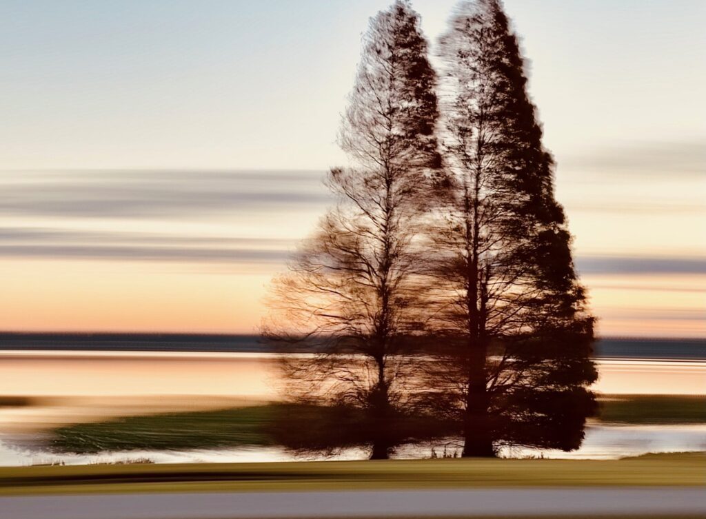 Beautiful sunset on a Central Florida lake shot using Intentional Camera Movement