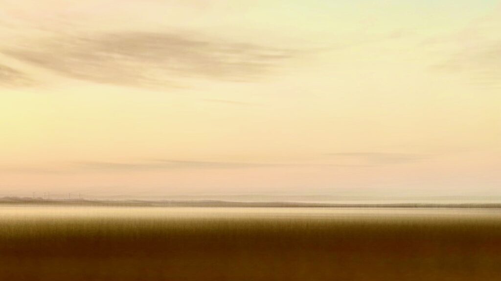 Stunning, golden shoreline captured using intentional camera movement