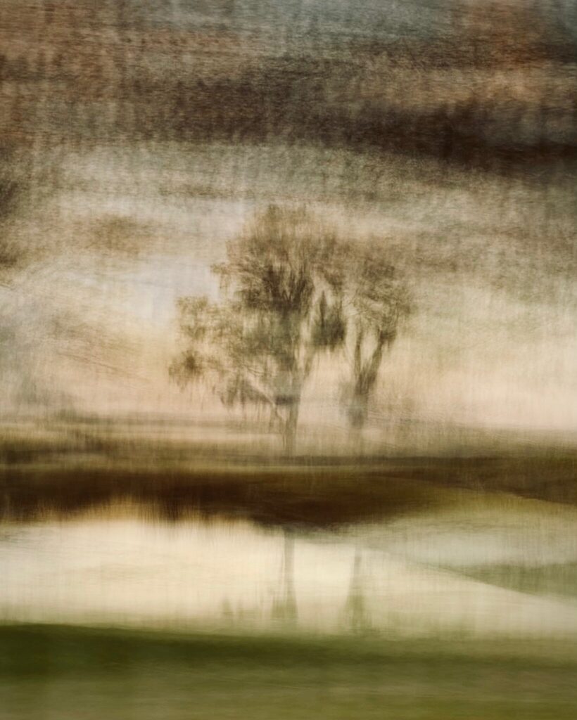 ICM photo by Tony Guinn